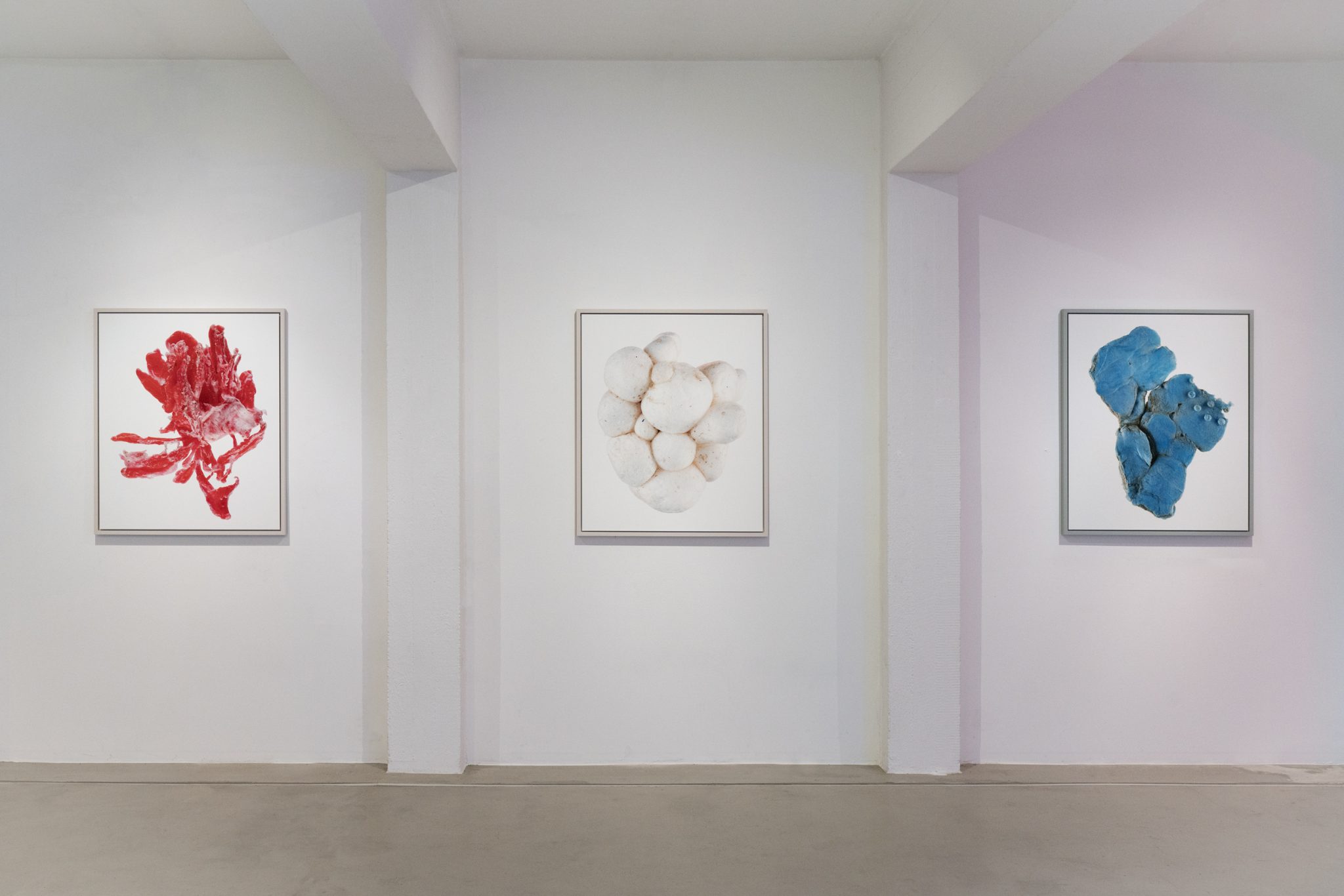 Andreas-Zimmermann-Art-Hoc-The Pool-Düsseldorf-Enduring-Relics-2024-Particule-rot-Particule-weiss-Rhein-Particule-blau-flach-2